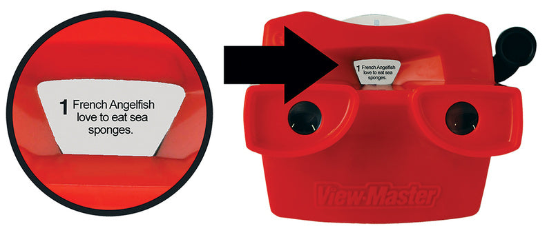 Viewmaster Box Set