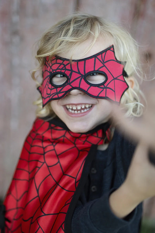 Spider & Bat Reversible mask