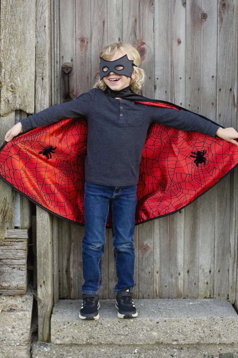 Spider & Bat Reversible mask
