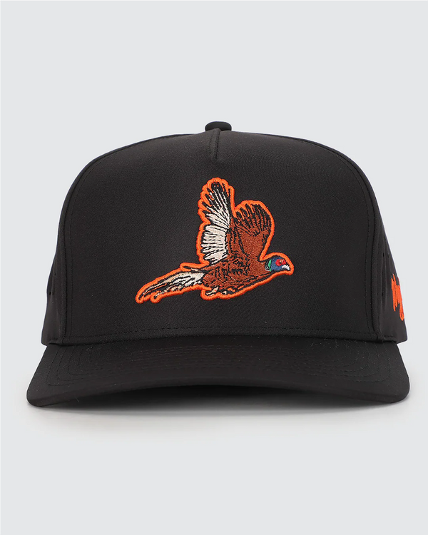 Pheasant Waggle Hat