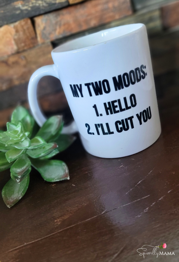 Two Moods Funny Mug