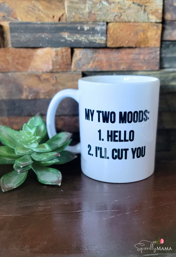 Two Moods Funny Mug