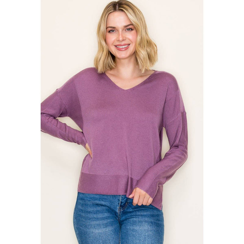 V NECK PULLOVER SWEATER
