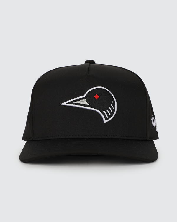Loon Lake 2.0 Waggle Hat